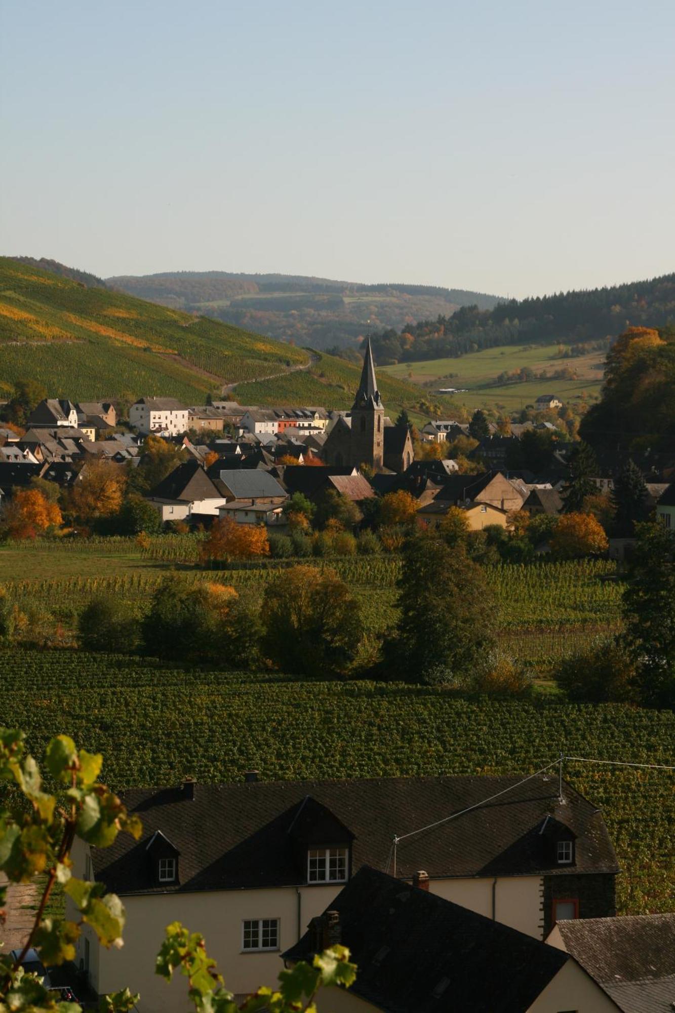 Weingut & Gaestehaus Stephan Kohl Neumagen-Dhron Eksteriør billede